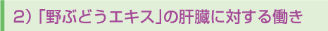 2)「野ぶどうエキス」の肝臓に対する働き