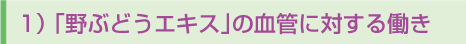 「野ぶどうエキス」の欠血管に対する働き