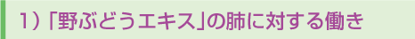 1)「野ぶどうエキス」の肺に対する働き