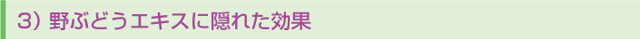 3)野ぶどうエキスに隠れた効果