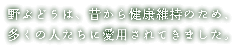 野ぶどうは、昔から健康増進のため、多くの人たちに愛用されてきました。